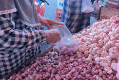 Harga Bawang Merah Turun, Segini Harganya Saat Ini