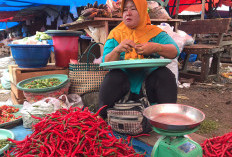 Harga Cabai di BS Melonjak Tajam, Harganya Tembus Segini