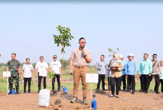 Hari Lingkungan Hidup Sedunia, Menteri AHY Pimpin Tanam 100.000 Pohon Serentak se-Indonesia