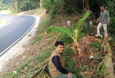  KPHL Bukit Daun Jaga   Habitat Satwa Liar di Benteng