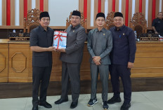 LRA BU 2024 Surplus Defisit Segini