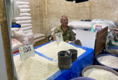 Harga Beras di Kota Bengkulu Stabil, Segini per Cupak