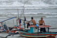 Waspada Fenomena La Nina, Ini Pesan Kadis Perikanan Kota Bengkulu untuk Para Nelayan di Bengkulu