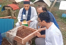 Mahasiswa UMB Budidaya Lebah Trigona di Ponpes Nurul Quran Lebong