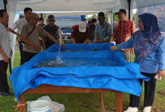PUSIKAN Perdana Diserbu Warga, Dinas Perikanan Jual Ikan   Murah dan Produk Olahan