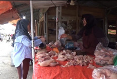 Harga Daging Ayam di BU Naik, Segini Harganya Saat Ini