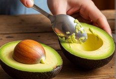 Jangan Dibuang, Biji Alpukat Bisa Mencegah Penuaan Dini Hingga Cegah Radang Sendi,  Ini Caranya 