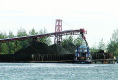 Ekspor Bengkulu Anjlok Hampir 50 Persen