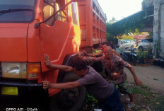 Beat Hantam Truk Fuso, Pelajar di Pino Raya Tewas di Tempat
