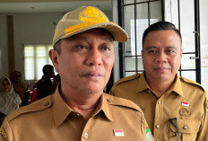 Ribuan Tenaga kontrak Masa Kerjanya Berakhir 31 Desember 2025,  Tidak Ada Lagi Non ASN di Seluma