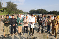  Lestarikan Lingkungan Pesisir,   Benteng Tanam 200 Pohon Mangrove