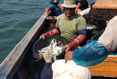 BPJS Ketenagakerjaan untuk Nelayan di Mukomuko, Segini jumlahnya