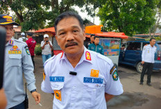 Bayi Perempuan Dalam Kardus di Kepahiang Bakal Diasuh Pasutri dari Sumsel, Ujicoba Selama 3 Bulan