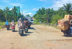  Tuntaskan Perbaikan Jalan, Ini Pernyataan Anggota DPRD Kota Bengkulu 