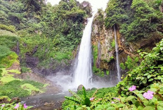 Air Terjun Tri Sakti, Tawarkan 6 Paket Wisata, Berikut Daftarnya