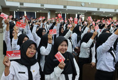  PPPK di Pemprov Bengkulu Bakal Dapat TPP, Revisi Pergub Dimulai