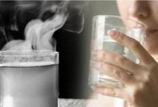 Biasakan Minum Air Panas Tiap Pagi, Ini Manfaat Bagi Tubuh yang Diperoleh