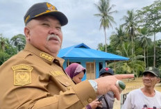 Bupati Tinjau Dampak Banjir, Petani Alami Kerugian