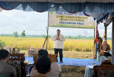 Bupati Mukomuko Amankan Dana Inpres Rp80 Miliar, Ini Peruntukannya