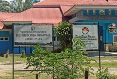  Segini Jumlah Koperasi Desa Merah   Putih di Mukomuko Sudah Terbentuk 