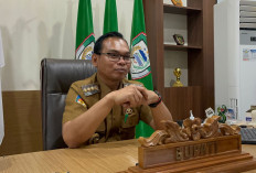 CPNS Harus Tercatat Warga Seluma, Berikut Tujuannya