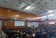 P-APBD Kaur 2025   Defisit Rp 20,3 Miliar, Ini Penyebabnya