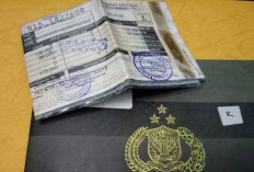 Oktober 2025, 11 Provinsi Gelar Program Pemutihan Pajak, Berikut Daftarnya