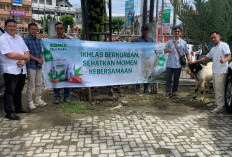 Idul Adha, Serahkan Domba Super ke Warga Bengkulu, Komix Herbal Ikhlas Berkurban, Sehatkan Momen Kebersamaan