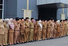 Kinerja Tak Capai Target, Kepala OPD Pemprov Bengkulu Dievaluasi, Begini Pernyataan BKD 