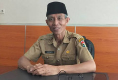 Muncul 2 Opsi untuk 902 Honorer di Mukomuko, Begini Penjelasan Kepala BKPSDM 