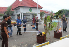 Kejari Kaur Musnahkan 35 Paket Narkotika