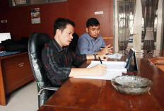 Dewan Soroti Penataan Ruang Terbuka Hijau