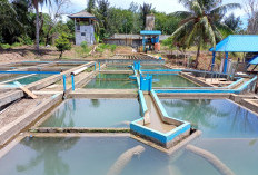 Pemkot Bengkulu Bekerja Sama dengan BPN, Percepat Sertifikasi Lahan Instalasi PDAM 