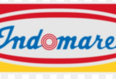 Buruan Daftar, Indomaret Group Buka Lowongan Apoteker, Penempatan di 14 Provinsi, Cek Apakah Ada Daerahmu
