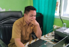 Musim Tanam 2024, Alokasi Pupuk Bersubsidi di Kabupaten Mukomuko Bertambah 1.589 Ton