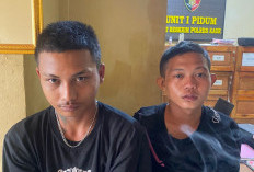 Curi Mobil di Kaur, 2 Pemuda Asal Benteng Diringkus Polisi