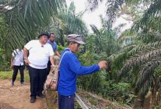 Bupati Rifai Jawab   Keluhan Masyarakat,  Tinjau Irigasi Sawah Tambangan