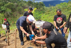 Launching Penanaman 45 Ribu Pohon Kopi Merah Putih di Lebong, Gubernur Helmi:Ini Investasi Masa Depan
