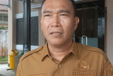 Bupati Kepahiang Fokus Kembangkan Produksi Kopi, Ini Tujuannya