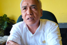  Petani di Benteng Terima Bantuan Bibit Kopi