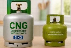 Kompor LPGTak Perlu Diganti, Ternyata Bisa Langsung Pakai CNG Tanpa Modifikasi