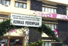 Komnas Perempuan Buka Lowongan Kerja, Butuh Posisi untuk Staf IT, Berikut Syaratnya