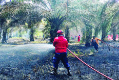 Terdeteksi Ada   3 Titik Panas, di Sini Lokasinya