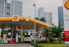 Mulai 1 Desember 2024, Harga BBM di SPBU Shell, BP AKR, dan Vivo  Sebagian Naik, Berikut Daftarnya