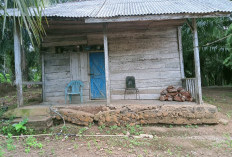  Pembangunan Rumah Layak Huni di Enggano Dikebut 