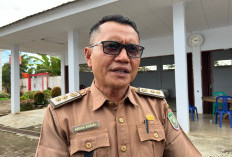 Seluma dapat Kucuran Dana dari Kementan Rp 14,2 M, Untuk Optimalisasi Lahan Non Rawa