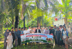 Sapi Kurban Presiden   Gegerkan Seluma, Bobot Hampir 1 Ton, Dipotong di Kembang Mumpo