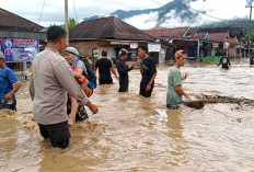 9 Kecamatan di Kabupaten Lebong Diterjang Banjir, Kerugiannya Ditaksir Tembus Segini