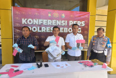  Bandar Setengah Kg Ganja di Lebong   Ditangkap