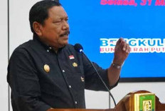 Desak Perusahaan Mutasikan Kendaraan Luar ke BD, Pemprov Bengkulu Surati Bupati dan Wali Kota